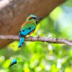 Planificación Turística Territorial