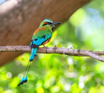 Planificación Turística Territorial